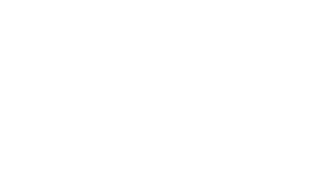 Rapid Network
